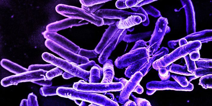 TB Germ That Can Move to the Bones Resembles Ancient Strain Found in Mummies