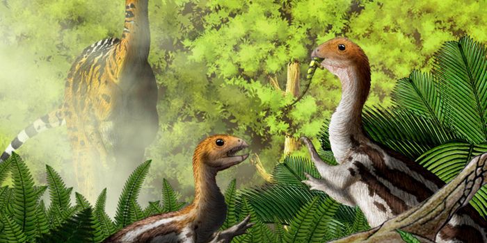 Even the Dinosaurs Lost Their Teeth As They Grew Up