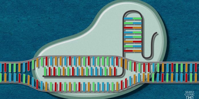 Using CRISPR to Create New Model Organisms