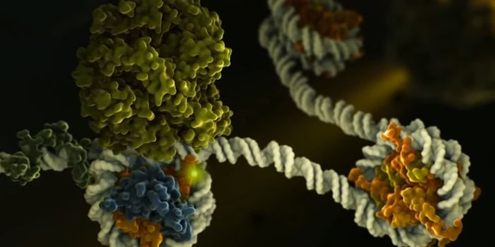 Revealing the Epigenetic Patterns That Specific Enzymes Create