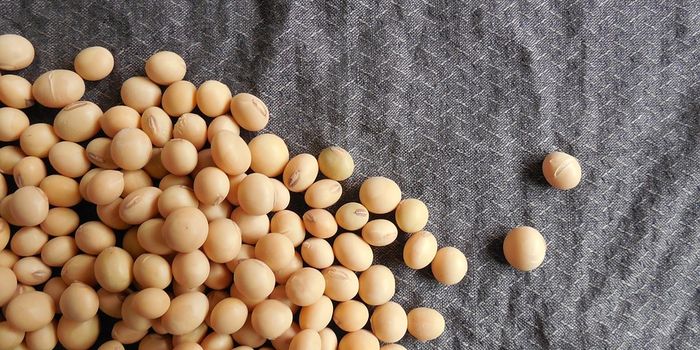 Soy helps post-op treatment of bone cancer