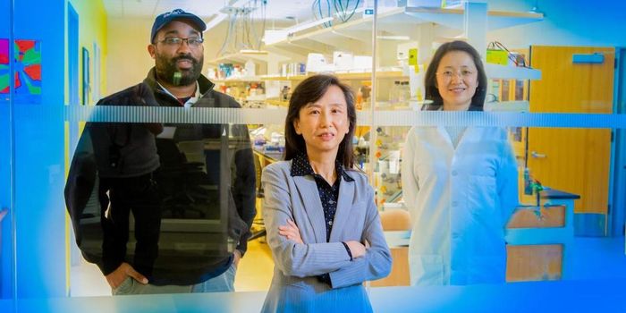 Finding a Way to Restore Memory Loss Caused by Alzheimer's