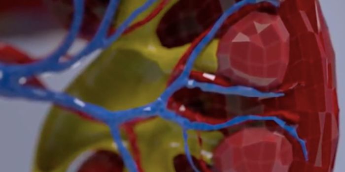 Diagnosing Deadly Kidney Cancers Sooner