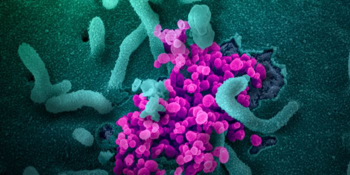 Do Genetic Factors Influence the Severity of COVID-19 Infections?