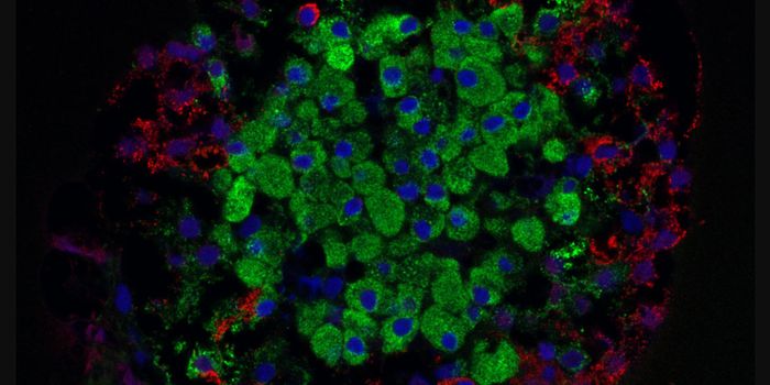 Exploiting a Cell's Love of Zinc to Deliver Targeted Therapeutics
