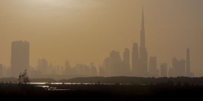 From Haze to Photosynthesis- How research may lead to better air purification methods