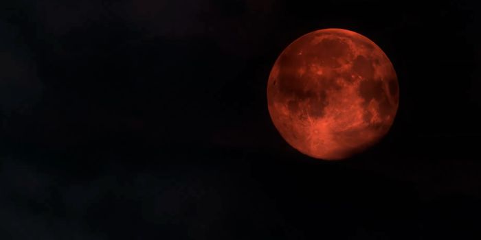 Are You Prepared for This Weekend's Super Blood Wolf Moon Eclipse?