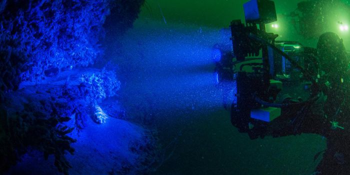 A New Type of Biofluorescence is Described