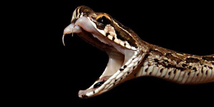 One Man's Poison is Another Man's Cure