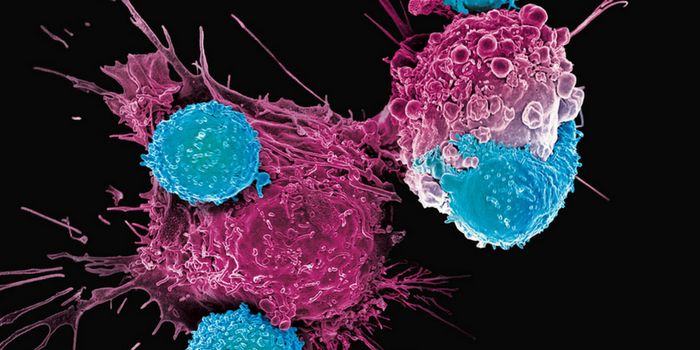 CAR-T Cell Therapy 101