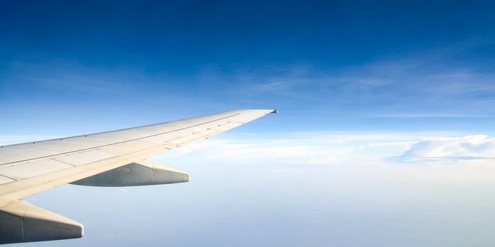 Reducing Jet Fuel Emissions Using Plant-Based Fuel