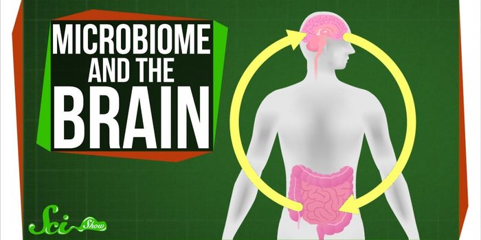 The gut Microbiome can Influence the Brain