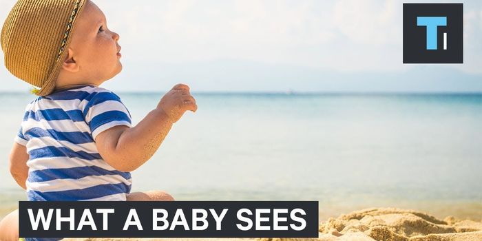 Here's What it's Like Behind the Eyes of a Baby