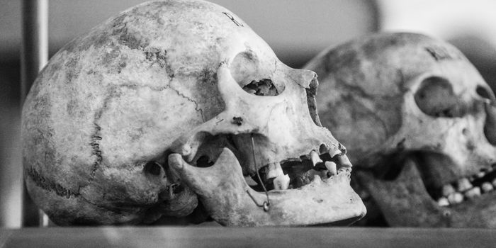 Today in Science History: Most Complete Skeletal Remains of Neanderthal Still Tell a Story Today