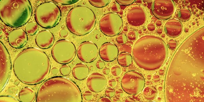 Lupus Flares Linked to Growth of Specific Gut Microbes