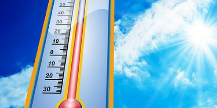 What Does a Heat Wave Do to the Brain?