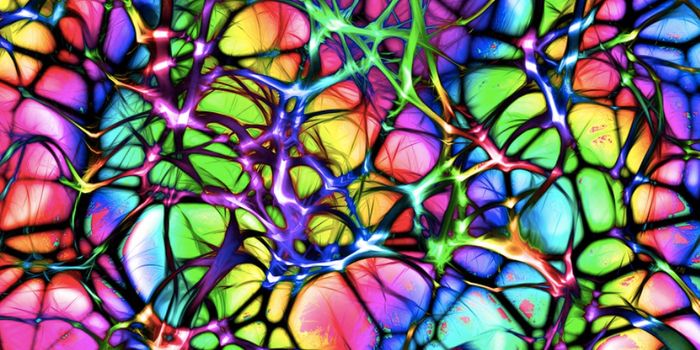 For Long-Term Memory Formation, DNA Damage Must Occur