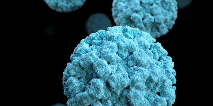 Highly Contagious Stomach Viruses may Spread Through Saliva