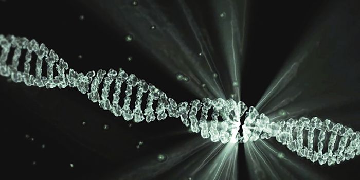 Genetic Code Regulates Stress Response in Cells