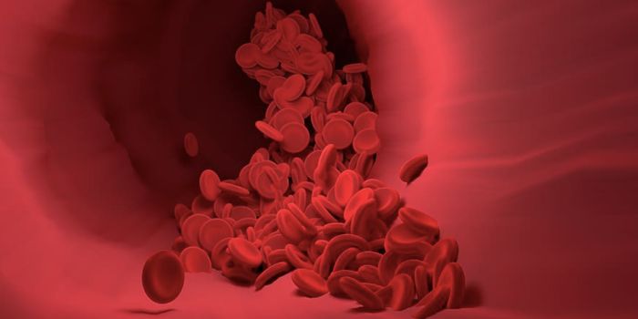 Understanding How Problems in Bone Marrow Transplants Arise