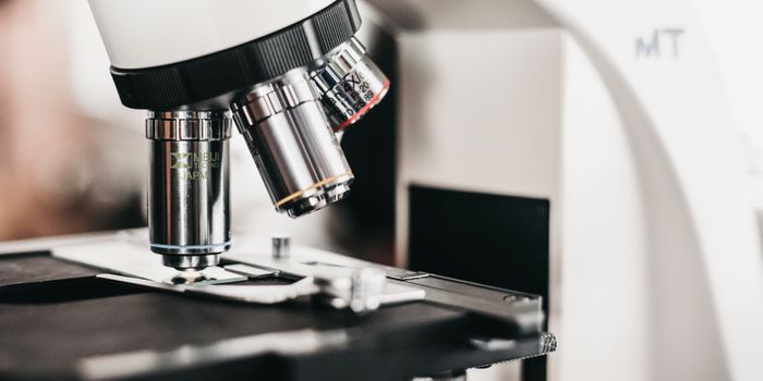 Why Cannabis Is Polarizing Among Scientists