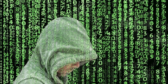 Study Recommends Emotional and Technological Strategies to Avoid 'Romance Fraud'