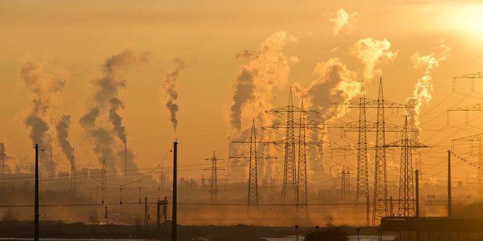Air Pollution Linked to Lung Cancer Risk in Non-Smokers