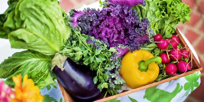 Eating Veggies Helps Strengthen Neck Arteries in the Elderly