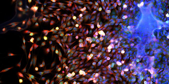 Multiplexing with Spectral Confocal Fluorescence Microscopy