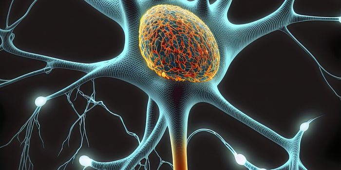 Non-Immune Brain Cells Found to Acquire Immune Memory