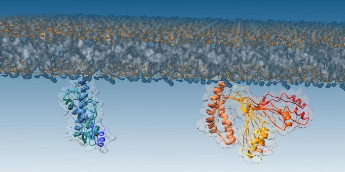 A Critical Step in the Development of Brain Disease is ID'ed