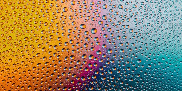 The Early Life Gut Microbiome is Linked to Emotional Health