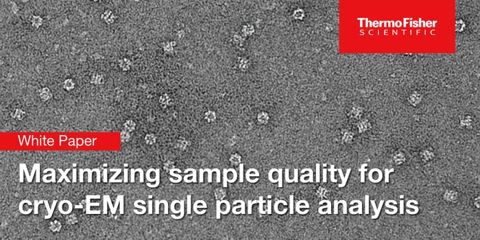 Maximizing sample quality for cryo-EM single particle analysis
