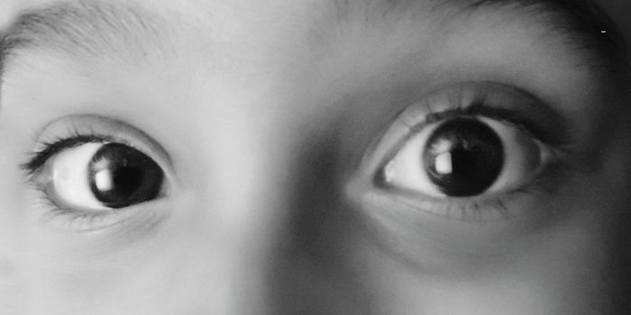 Brain Organoids Develop 'Eyes'