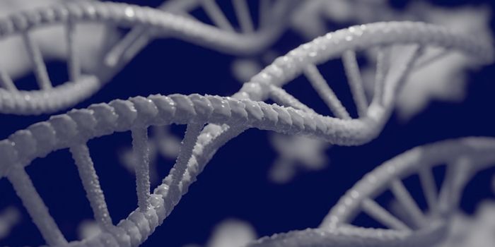 New Tool Makes it Possible to Model Many Mutations in One Animal