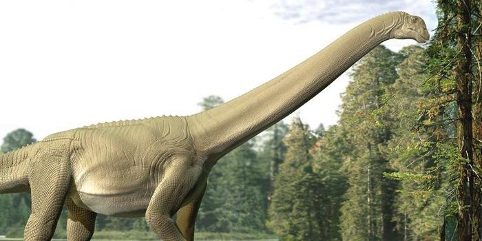Sauropods - Giant Dinos Apparently Weren't Big on Chewing