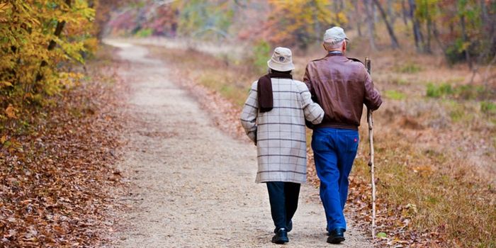 A Novel Anti-Aging Process is Revealed