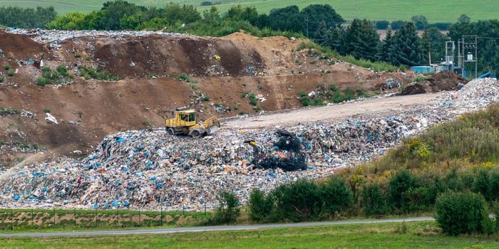 This Bacterium Converts Trash to Energy