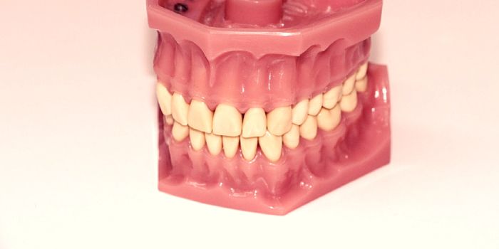 Diagnosed: Man's Denture Cream Left Him Wheelchair-Bound