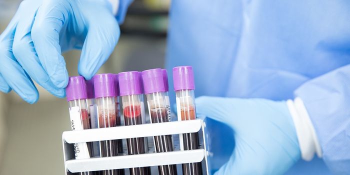 Can bone marrow recover post-chemotherapy?