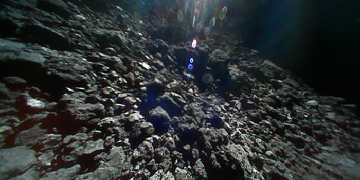 JAXA's Hayabusa 2 Rovers Deliver First Images Depicting What it's Like On An Asteroid