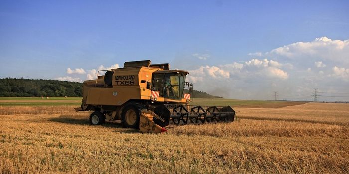 Common Herbicides Increase Antibiotic Resistance