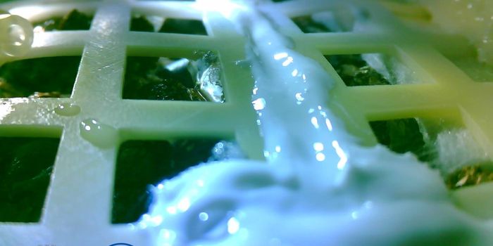 China Grew Plants on the Moon for the First Time, But They Didn't Last Long