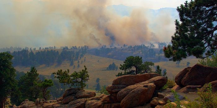Scientists determine cause behind huge Asian smoke cloud