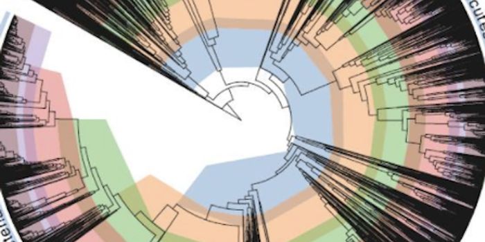 A Better Way to Classify Bacteria
