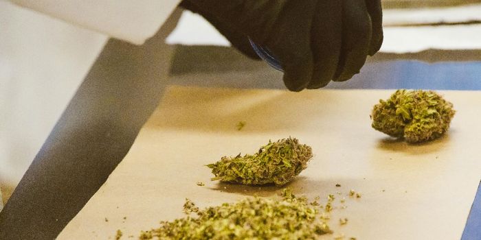 Why do Some Medical Cannabis Patients Use Illegal Products?