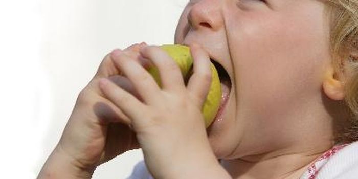 Is Malnutrition An Immune Disorder?