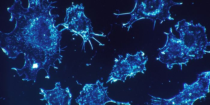 Linking an Aggressive Tumor Factor to the Innate Immune Response