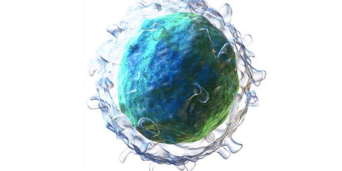 How B Cells Find Their Way to Lymph Nodes