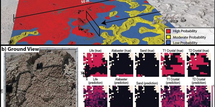 Searching for Biosignatures on Mars and Other Planetary Bodies Using Artificial Intelligence-Machine Learning